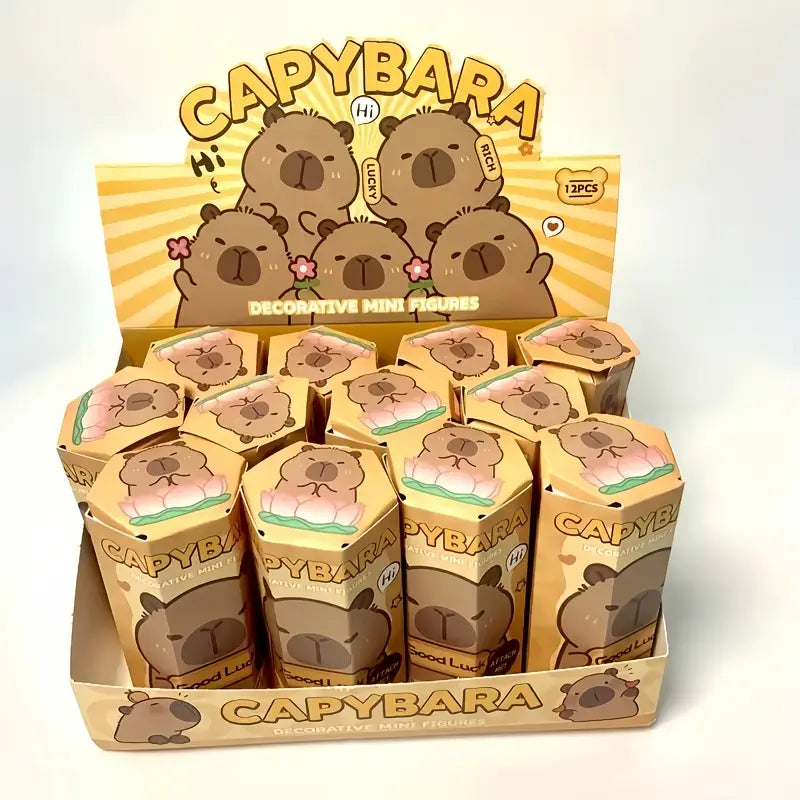 CapiBara Sürpriz Kutu Serisi (1 Adet)