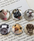 Cute Cat Tasarım 6'lı Rozet 70 mm PVC Kaplı Çanta Ceket Yaka Aksesuarı