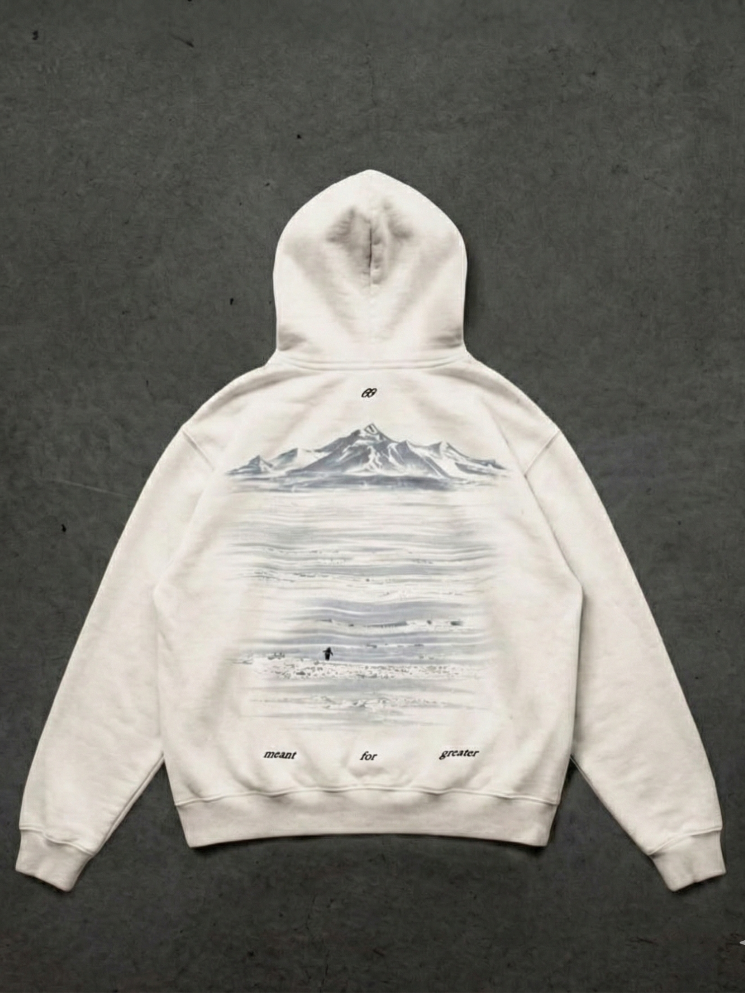 Meant For Greater Penguin Oversize Sweatshirt