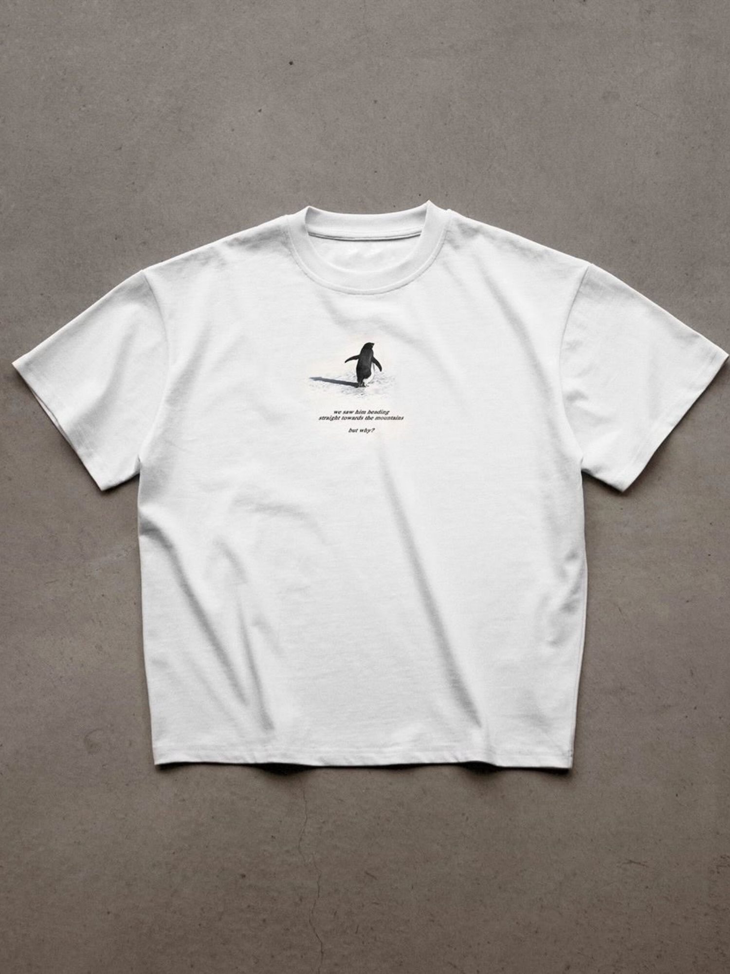 Meant For Greater Penguin Oversize T-Shirt