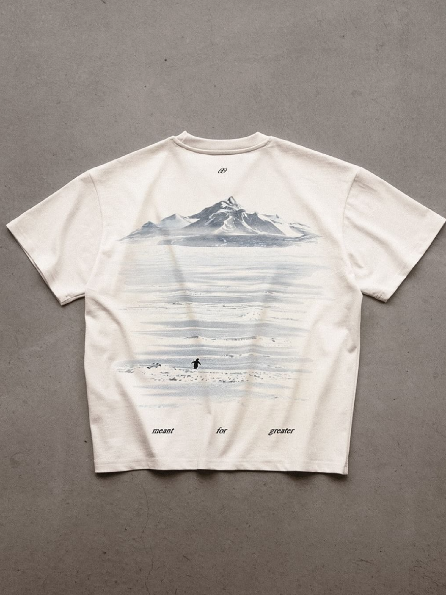 Meant For Greater Penguin Oversize T-Shirt