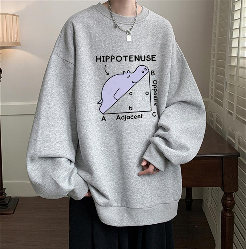 Hippotenuse Baskılı Gri Unisex Oversize Bisiklet Yaka Sweatshirt