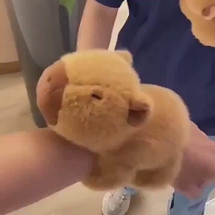 Bileklik CapiBara Peluş Oyuncak