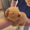 Bileklik CapiBara Peluş Oyuncak